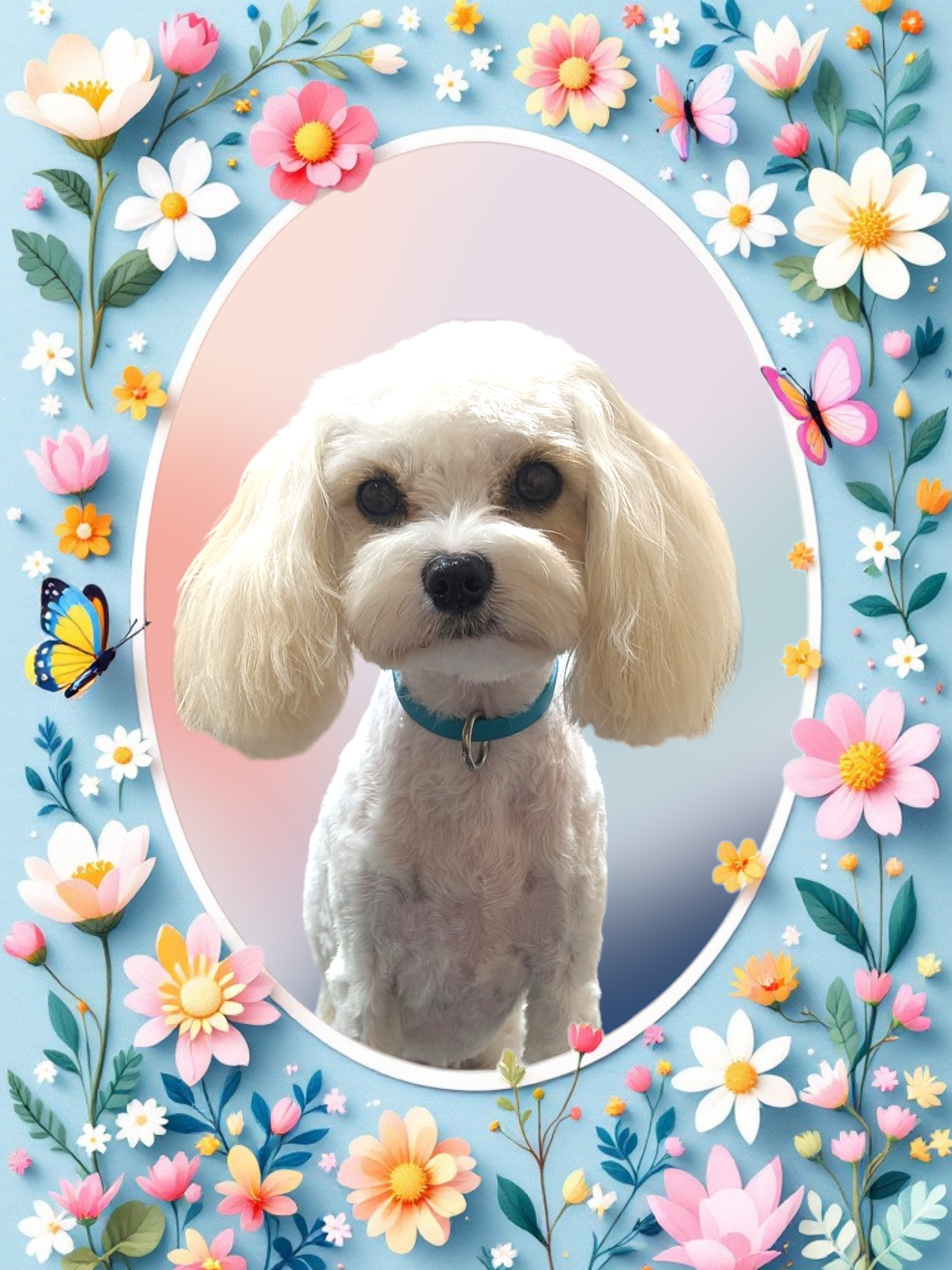 White Maltese or Poodle in spring floral portrait frame