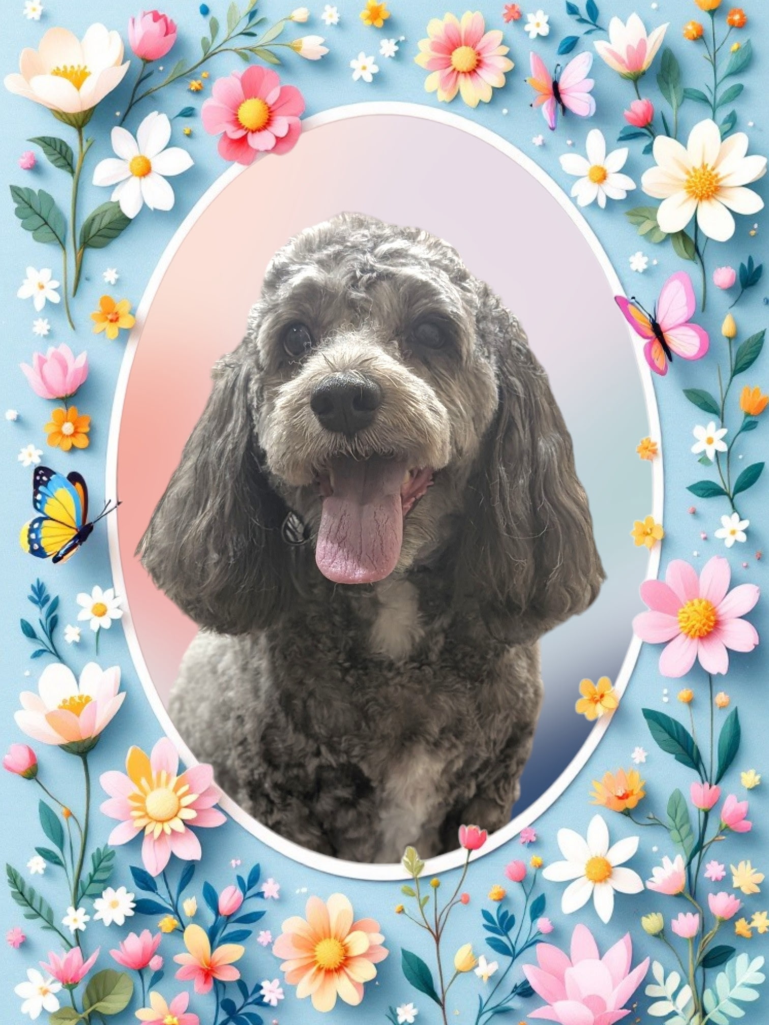 Grey Poodle in spring floral portrait frame